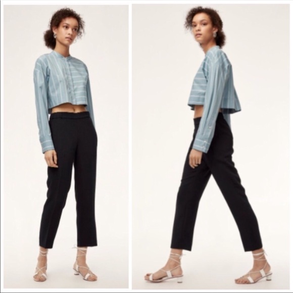💠 Aritzia Wilfred Darontal Cropped Pants Size 10 - Picture 7 of 7